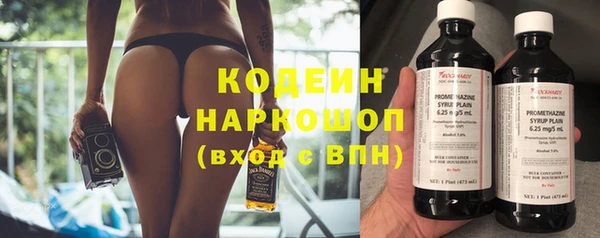 индика Покачи