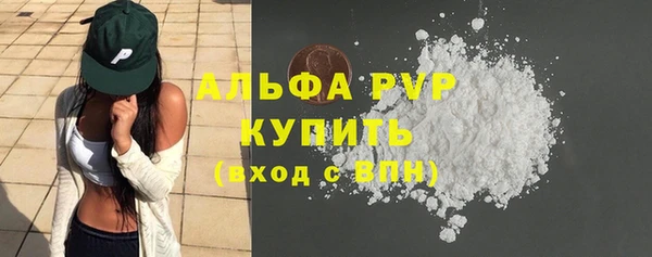 индика Покачи