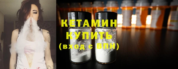 сатива Гатчина