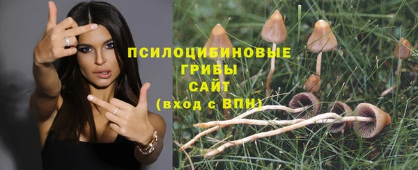 каннабис Алексин