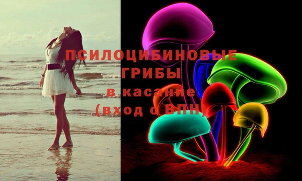крисы Абинск