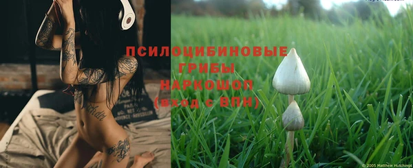 синтетический гашиш Гвардейск