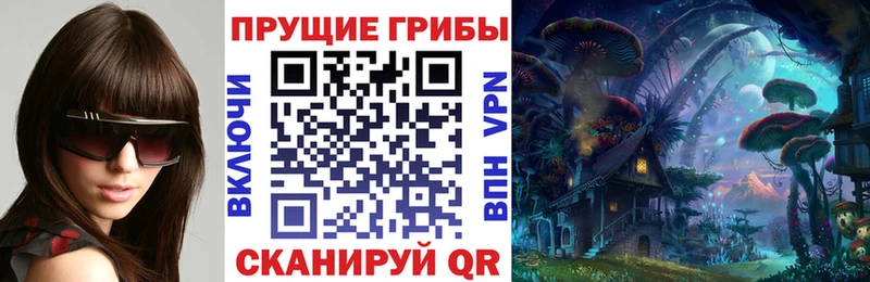 Псилоцибиновые грибы Psilocybe Красный Сулин